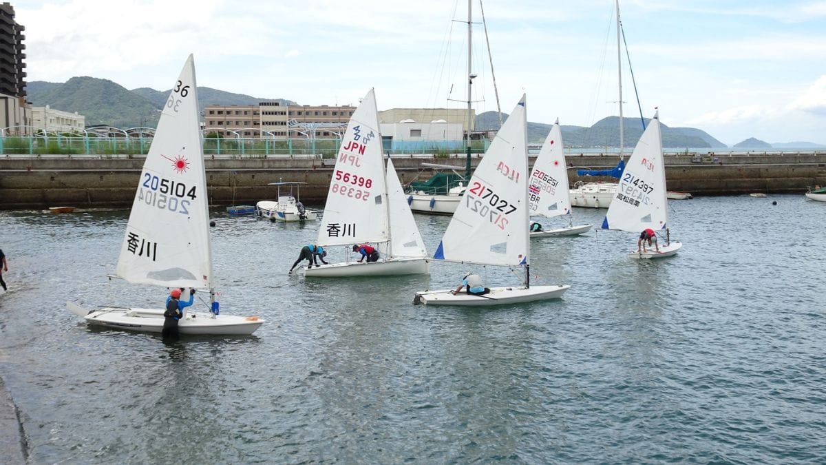 ngo-illustration-Artboard 5